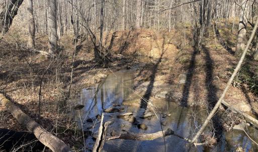 Photo #43 of 6840 Lunenburg County Road, Keysville, VA 45.2 acres