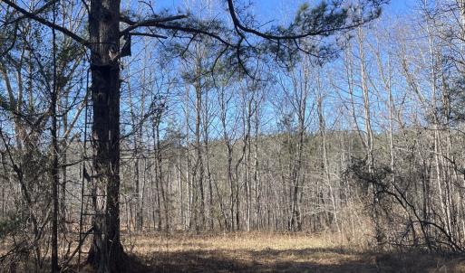 Photo #44 of 6840 Lunenburg County Road, Keysville, VA 45.2 acres