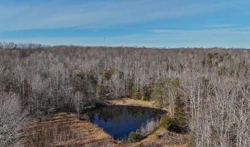 Photo #12 of 3370 Stagecoach, Farmville, VA 20.0 acres