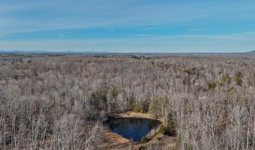 Photo #13 of 3370 Stagecoach, Farmville, VA 20.0 acres