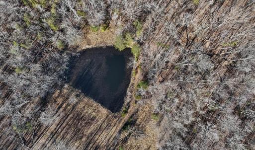 Photo #9 of 3370 Stagecoach, Farmville, VA 20.0 acres