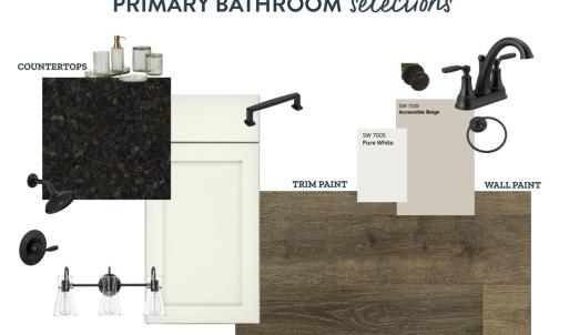Primary Bathroom Selections