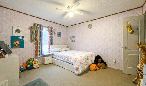 Photo #14 of 8220 New Grove Rd, Victoria, VA 5.1 acres