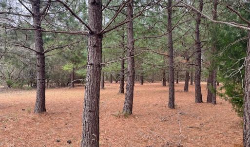 Photo #22 of 8220 New Grove Rd, Victoria, VA 5.1 acres