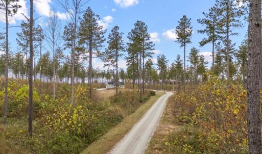 Photo #7 of 5388 Anderson Highway, Powhatan, VA 10.0 acres