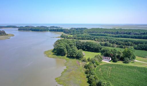 Photo #10 of 31181 DRUMMONDTOWN RD, WACHAPREAGUE, VA 96.3 acres