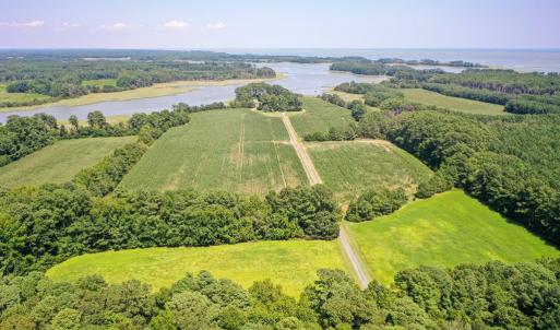 Photo #3 of 31181 DRUMMONDTOWN RD, WACHAPREAGUE, VA 96.3 acres