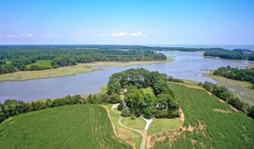 Photo #4 of 31181 DRUMMONDTOWN RD, WACHAPREAGUE, VA 96.3 acres
