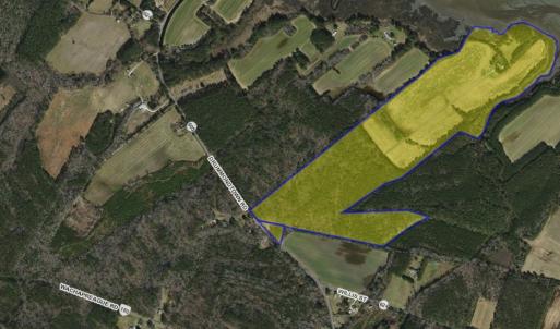 Photo #42 of 31181 DRUMMONDTOWN RD, WACHAPREAGUE, VA 96.3 acres