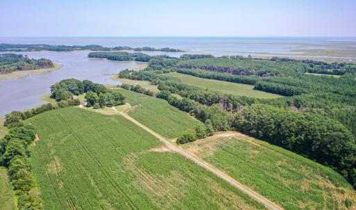 Photo #8 of 31181 DRUMMONDTOWN RD, WACHAPREAGUE, VA 96.3 acres