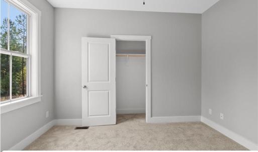 Photo #18 of 303 Deuprees Store rd, Charlotte Court House, VA 3.0 acres