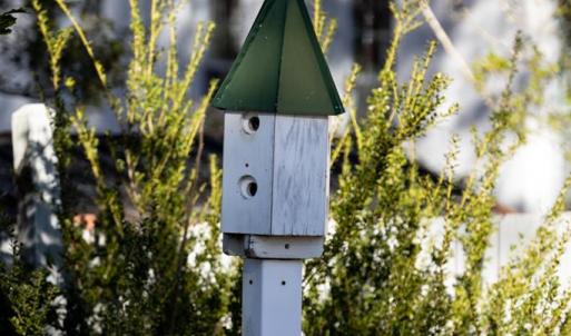 Photo #71 of 713 First Avenue, Farmville, VA 0.2 acres