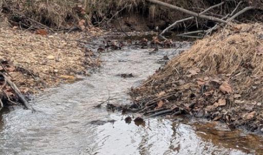 Photo #11 of 290 White Street, Drakes Branch, VA 26.1 acres