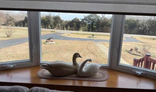 Bay window in living room