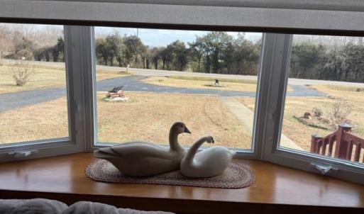 Bay window in living room