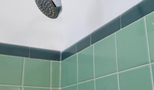 Photo #15 of 4996 Farmville Rd., Farmville, VA 2.4 acres