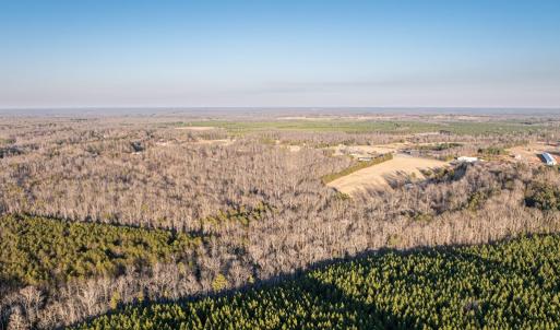 Photo #10 of 25805 N James Madison Hwy, New Canton, VA 57.1 acres