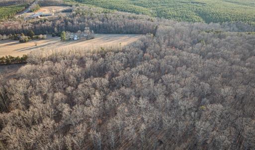 Photo #4 of 25805 N James Madison Hwy, New Canton, VA 57.1 acres