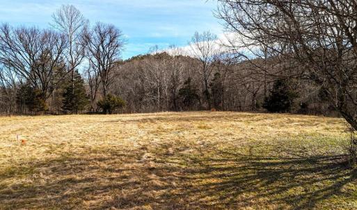 Photo #12 of 643 River Bottom Lane, Concord, VA 15.0 acres