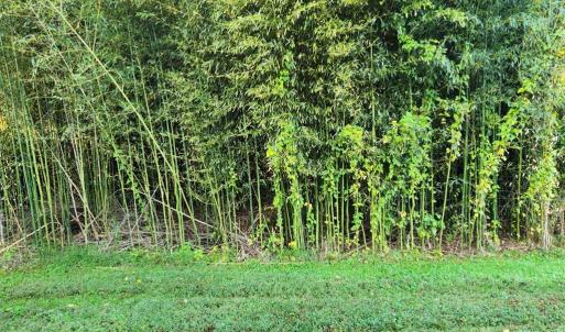 Photo #38 of 643 River Bottom Lane, Concord, VA 15.0 acres