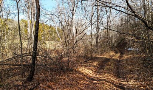 Photo #22 of 643 River Bottom Lane, Concord, VA 15.0 acres