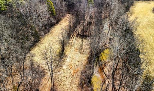 Photo #19 of 643 River Bottom Lane, Concord, VA 15.0 acres