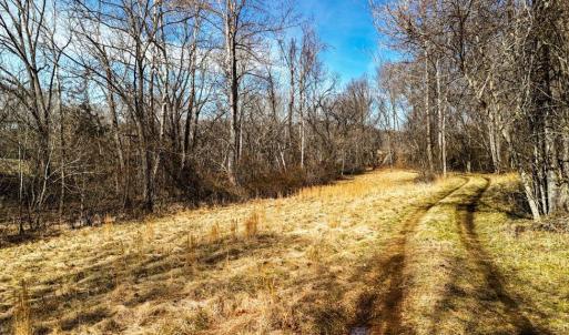 Photo #20 of 643 River Bottom Lane, Concord, VA 15.0 acres