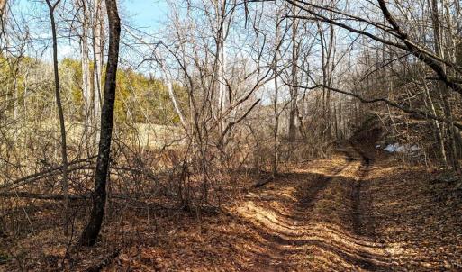 Photo #22 of 643 River Bottom Lane, Concord, VA 15.0 acres