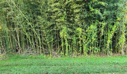 Photo #37 of 643 River Bottom Lane, Concord, VA 15.0 acres