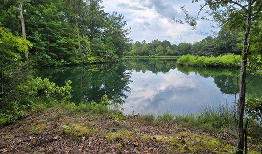 Photo #3 of 1545 Cumberland Road, Farmville, VA 7.0 acres