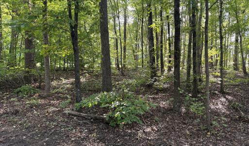 Photo #27 of 12668 Patrick Henry Hwy, Brookneal, VA 4.0 acres
