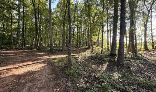 Photo #47 of 12668 Patrick Henry Hwy, Brookneal, VA 4.0 acres