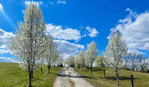Photo #57 of 801 Purdum Mill Road, Appomattox, VA 28.3 acres