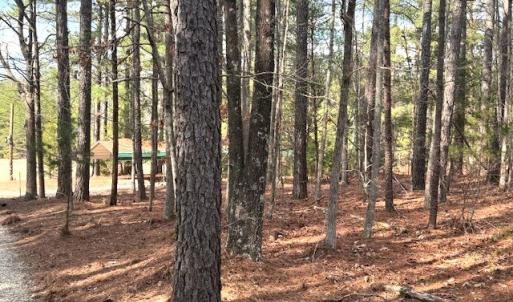 Photo #25 of 2041 Eureka Mill Road, Keysville, VA 5.0 acres