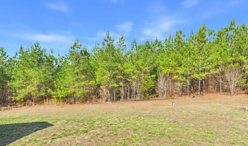 Photo #54 of 6795 Darlington Heights, Farmville, VA 1.5 acres