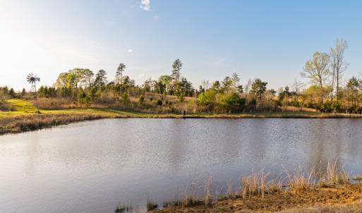 Photo #46 of 1895 Cemetery Rd, Chase City, VA 49.3 acres