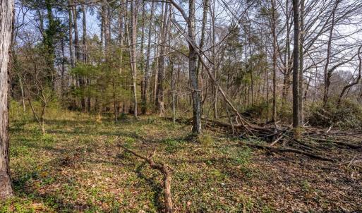 Photo #74 of 441 Legrande Ave, Charlotte Court House, VA 3.0 acres