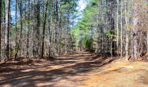 Photo #48 of 615 Sandie Point Dr, Clarksville, VA 28.7 acres