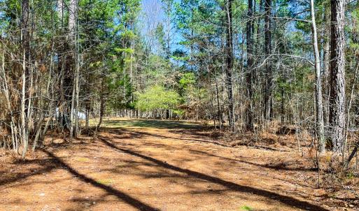 Photo #49 of 615 Sandie Point Dr, Clarksville, VA 28.7 acres