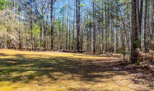 Photo #50 of 615 Sandie Point Dr, Clarksville, VA 28.7 acres