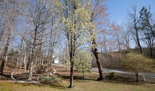 Photo #58 of 110 Jesses Way, Farmville, VA 0.6 acres