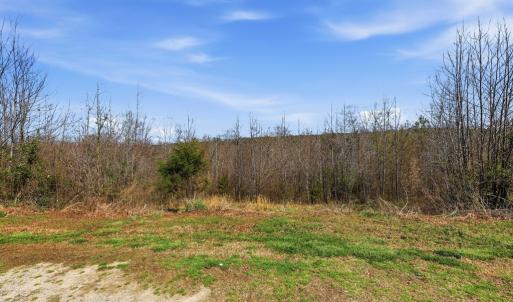 Photo #13 of 484 Dobbins, Blackstone, VA 23.5 acres