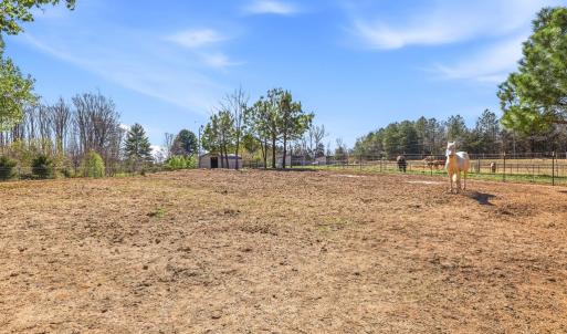 Photo #17 of 484 Dobbins, Blackstone, VA 23.5 acres