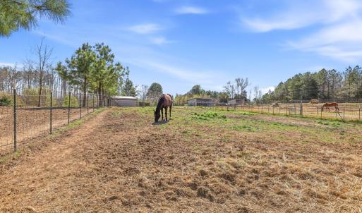 Photo #19 of 484 Dobbins, Blackstone, VA 23.5 acres