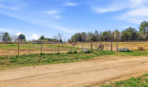 Photo #21 of 484 Dobbins, Blackstone, VA 23.5 acres