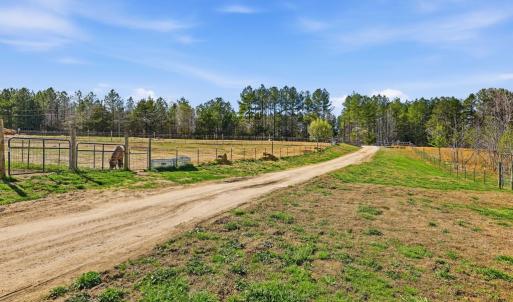 Photo #22 of 484 Dobbins, Blackstone, VA 23.5 acres