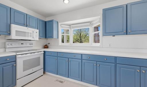 Photo #26 of 484 Dobbins, Blackstone, VA 23.5 acres