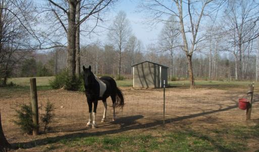 Photo #38 of 1925 Hill Cross Road, Charlotte Court House, VA 30.0 acres