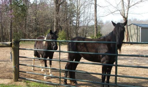 Photo #41 of 1925 Hill Cross Road, Charlotte Court House, VA 30.0 acres