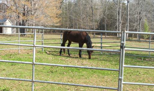 Photo #44 of 1925 Hill Cross Road, Charlotte Court House, VA 30.0 acres